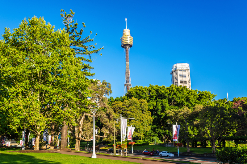 シドニーの青空と公園の落ち着いた風景